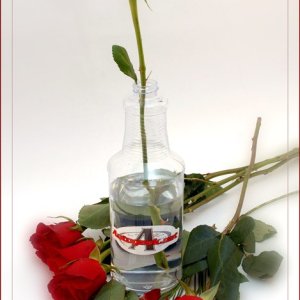 Valentines Day 2010