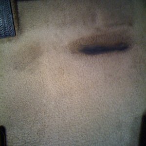 accord-after