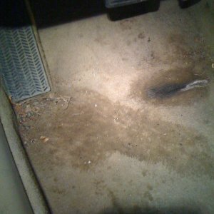 accord-before