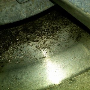 IMG-20110222-00036