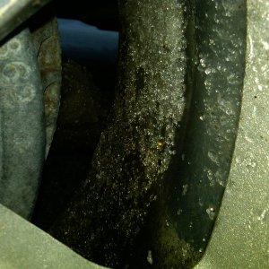 IMG-20110222-00038