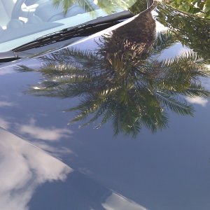 IMAG00311