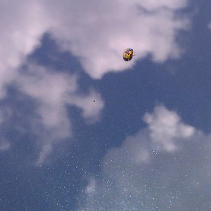 IMAG00321