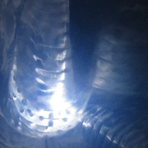 32-Wax_On