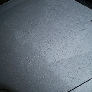 P1010250