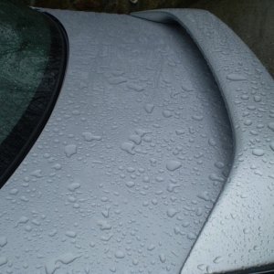 P1010252