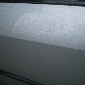 P1010253