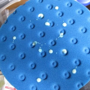 11-Wax_On