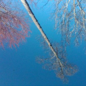 IMG00034-20110301-1634