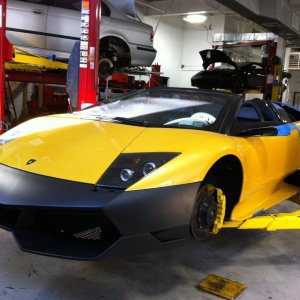 new_bumper_dry_fit