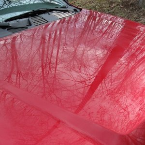 Hood after polishing and wax
