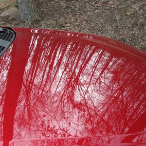 Finished Hood