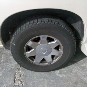 IMG_20110303_103817