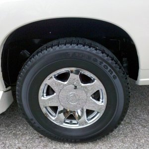 IMG_20110308_163509