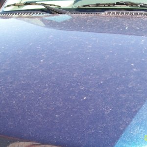 So. Oregon Pristine Detailing