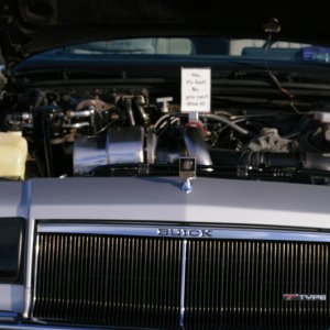 IMGP2543