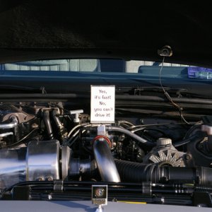 IMGP2544