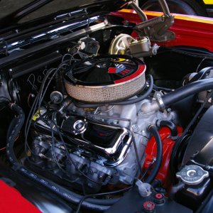 IMGP2560