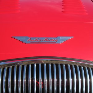 IMG_14861
