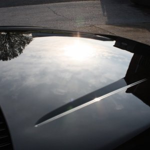 IMG_8437_1280x853_