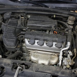 IMG_8341_1280x853_