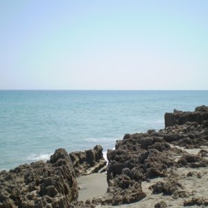 P1010288