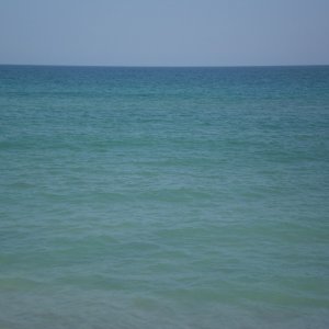 P1010290