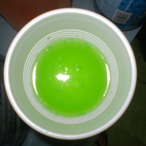 P1010371
