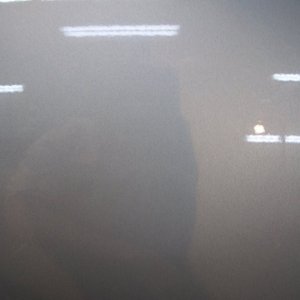 208947_10150139754789927_106866159926_6086134_1868862_n