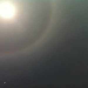 photo-16
