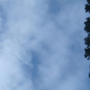DSC03832