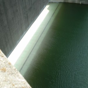 P10100241