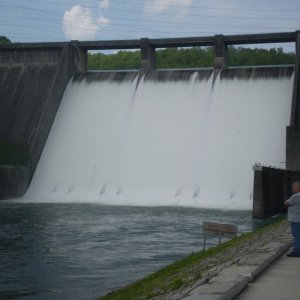 P1010035