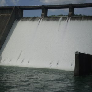 P1010037