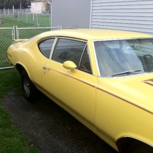 photo11