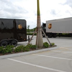 UPS82