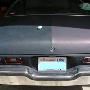 Trunk Half