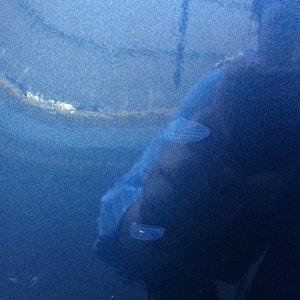 rsz_img_0311