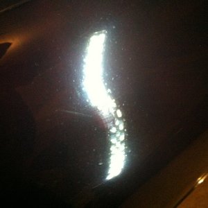 photo-37