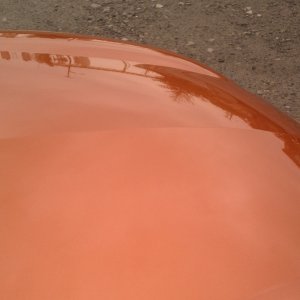 IMAG0123