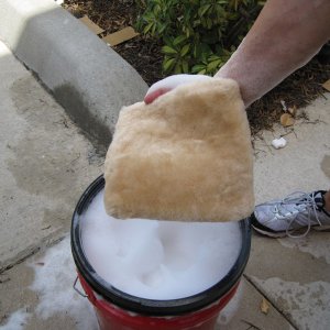 Sheepskin1