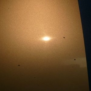 50-50_Before