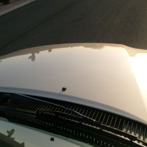 Hood_Sunshot_Finished_2_