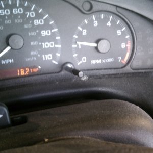 IMAG0156