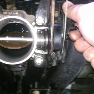 IMAG0175