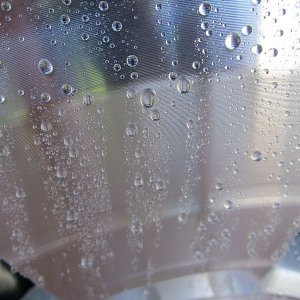 IMG_31951