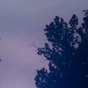 IMAG0193