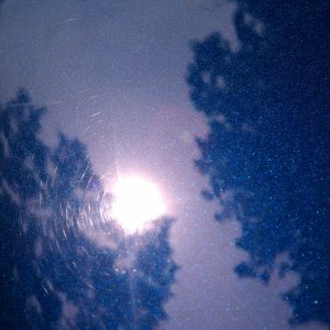 IMAG0194