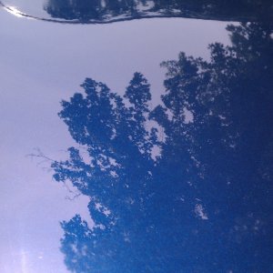 IMAG0195