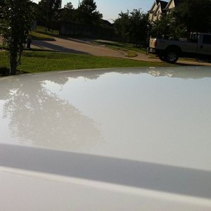 freaksavior Audi pics